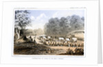 Distribution of goods to the Gros Ventres 26 August 1853 by John Mix Stanley