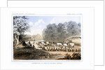 Distribution of goods to the Gros Ventres 26 August 1853 by John Mix Stanley