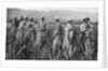 Women tending young sugar canes in Jamaica by Anonymous