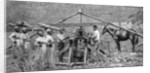 A wooden, horse-powered suger cane crushing mill, West Indies by Anonymous