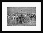 A wooden, horse-powered suger cane crushing mill, West Indies by Anonymous