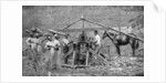 A wooden, horse-powered suger cane crushing mill, West Indies by Anonymous