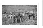 A wooden, horse-powered suger cane crushing mill, West Indies by Anonymous