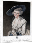The Honourable Miss Bingham by Anonymous