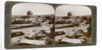 The 'Dome of the Rock', where the Temple Alter stood, Mount Moriah, Jerusalem, Palestine by Underwood & Underwood