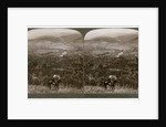 Lebanon, looking east over the upper Jordan Valley to Mount Hermon by Underwood & Underwood