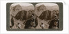 Mount of Moses, where the law was given to Israel's leader, the Sinai wilderness by Underwood & Underwood