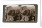 Mount of Moses, where the law was given to Israel's leader, the Sinai wilderness by Underwood & Underwood