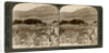 Mount Gerizim, where the Samaritans worshipped, Palestine by Underwood & Underwood