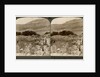Mount Gerizim, where the Samaritans worshipped, Palestine by Underwood & Underwood