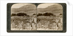 Mount Gerizim, where the Samaritans worshipped, Palestine by Underwood & Underwood