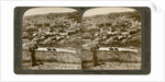 Nazareth, as seen from the north-east, Palestine by Underwood & Underwood