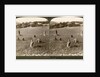 Gathering tares from wheat in the stony fields of Bethel (Baytin), Palestine by Underwood & Underwood