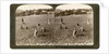 Gathering tares from wheat in the stony fields of Bethel (Baytin), Palestine by Underwood & Underwood