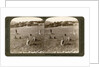 Gathering tares from wheat in the stony fields of Bethel (Baytin), Palestine by Underwood & Underwood
