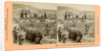 The garden of Gethsemane and the Mount of Olives, Palestine by BW Kilburn