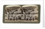 The Garden of Gethsemane and the Mount of Olives, Palestine by Underwood & Underwood