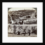 The Garden of Gethsemane and the Mount of Olives, Palestine by Underwood & Underwood