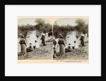 Baptising in the River Jordan, Palestine by Underwood & Underwood
