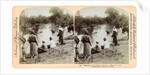 Baptising in the River Jordan, Palestine by Underwood & Underwood