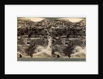 The valley of Kedron and the village of Siloam, outside the wall of Jerusalem, Palestine by Underwood & Underwood