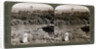 The north-west view from Shunem, across the Plain of Esdraelon, towards Carmel by Underwood & Underwood