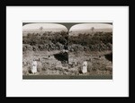 The north-west view from Shunem, across the Plain of Esdraelon, towards Carmel by Underwood & Underwood
