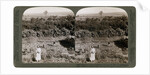 The north-west view from Shunem, across the Plain of Esdraelon, towards Carmel by Underwood & Underwood