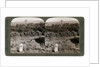 The north-west view from Shunem, across the Plain of Esdraelon, towards Carmel by Underwood & Underwood
