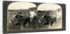 Farming near Seoul, South Korea by Keystone View Company