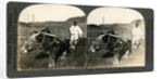 Farming near Seoul, South Korea by Keystone View Company