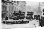 A flock of sheep on the Strand, London by Anonymous