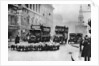 A flock of sheep on the Strand, London by Anonymous
