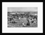 London bank holiday carnival, Hamstead Heath, London by McLeish