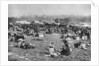 London bank holiday carnival, Hamstead Heath, London by McLeish