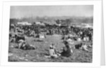 London bank holiday carnival, Hamstead Heath, London by McLeish