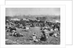 London bank holiday carnival, Hamstead Heath, London by McLeish