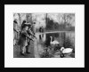 Children feeding the swans on the Serpentine, London by Anonymous