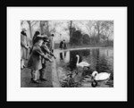 Children feeding the swans on the Serpentine, London by Anonymous