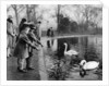 Children feeding the swans on the Serpentine, London by Anonymous