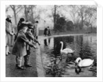 Children feeding the swans on the Serpentine, London by Anonymous