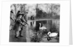 Children feeding the swans on the Serpentine, London by Anonymous