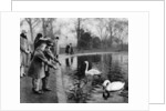 Children feeding the swans on the Serpentine, London by Anonymous