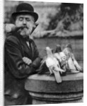 Pigeons of St Paul's with a vagrant, London by McLeish