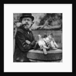 Pigeons of St Paul's with a vagrant, London by McLeish