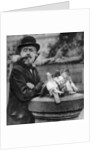 Pigeons of St Paul's with a vagrant, London by McLeish
