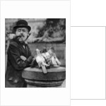 Pigeons of St Paul's with a vagrant, London by McLeish