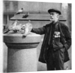 An old soldier with some pigeons, Trafalgar Square, London by McLeish