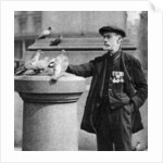 An old soldier with some pigeons, Trafalgar Square, London by McLeish