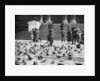 Pigeons in Trafalgar Square, London by Anonymous